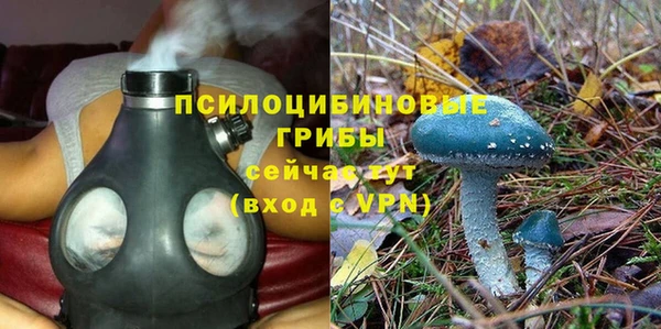 ПСИЛОЦИБИНОВЫЕ ГРИБЫ Балабаново
