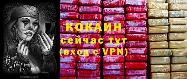 шишки Баксан
