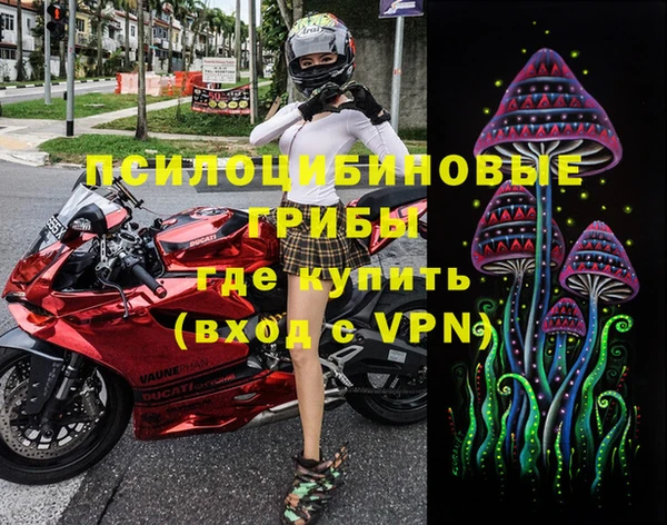 ПСИЛОЦИБИНОВЫЕ ГРИБЫ Балабаново