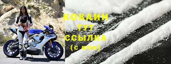 шишки Баксан