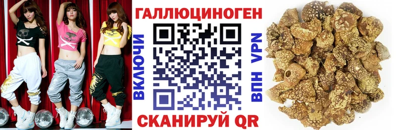 Галлюциногенные грибы MAGIC MUSHROOMS  что такое   OMG зеркало  Урюпинск 